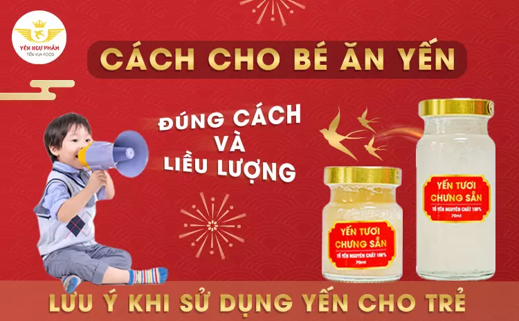 Cách cho bé ăn yến đúng cách và liều lượng, lưu ý khi sử dụng yến cho trẻ