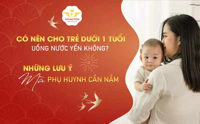 Có nên cho trẻ dưới 1 tuổi uống nước yến không? Những lưu ý mà phụ huynh cần nắm