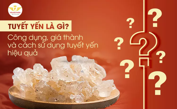 Tuyết yến là gì? Công dụng, giá thành và cách sử dụng tuyết yến hiệu quả