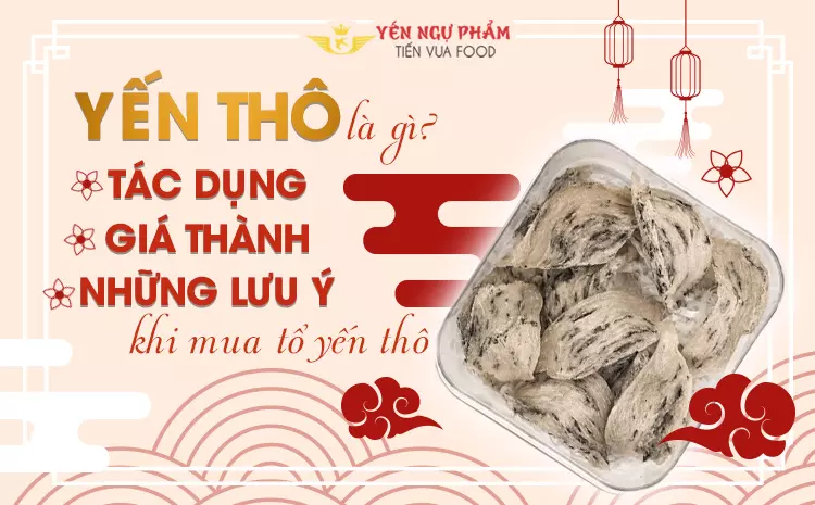 Yến thô là gì? Tác dụng, giá thành và những lưu ý khi mua tổ yến thô