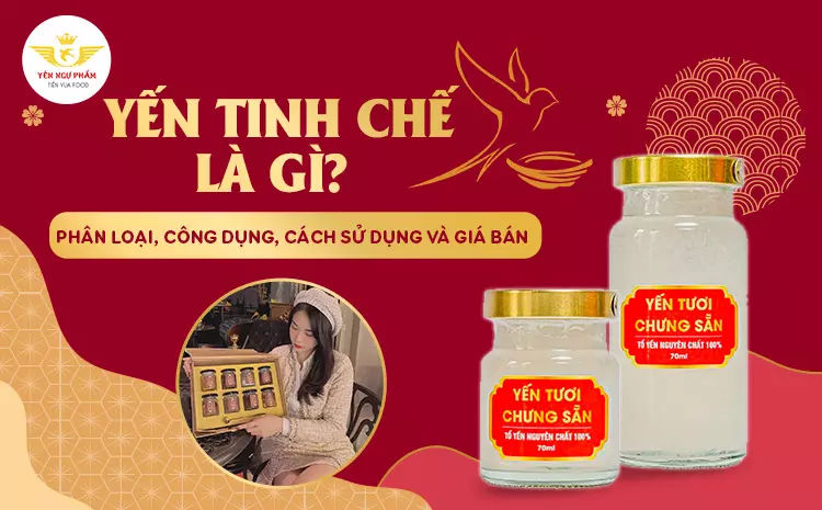 Yến tinh chế là gì? Phân loại, công dụng, cách sử dụng và giá bán
