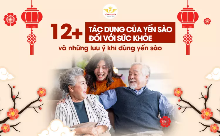 12+ Tác dụng của yến sào đối với sức khỏe và những lưu ý khi dùng yến sào